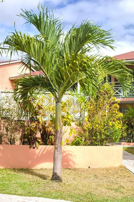 Halcyon Palm Appartement Saint James