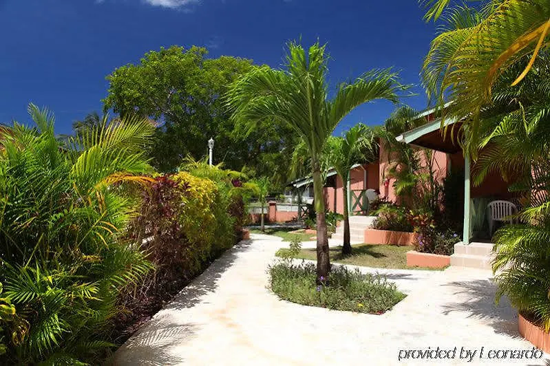 Halcyon Palm Appartement Saint James